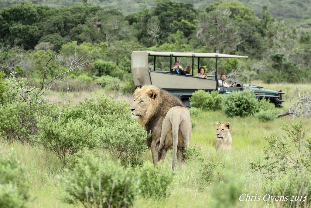 Sibuya Game Reserve And Lodge Kenton-on-Sea Esterno foto