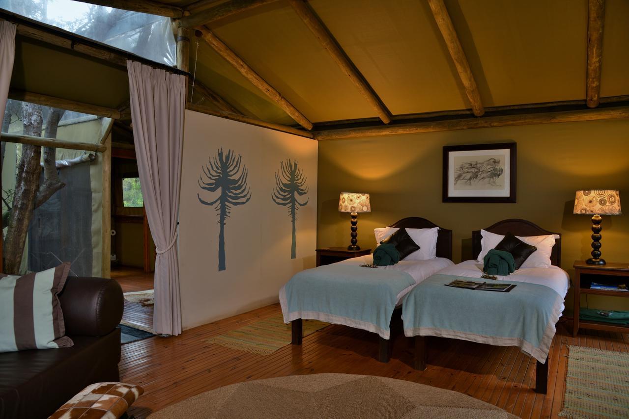 Sibuya Game Reserve And Lodge Kenton-on-Sea Esterno foto